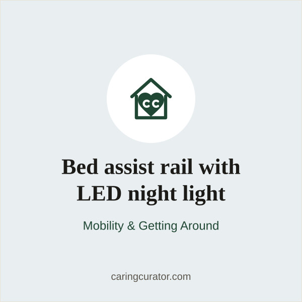 Bed assist rail with LED night light