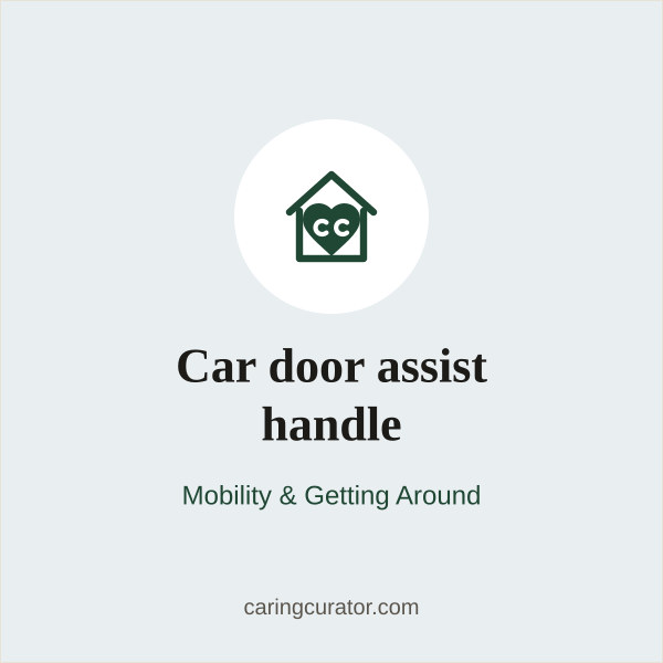 Car door assist handle