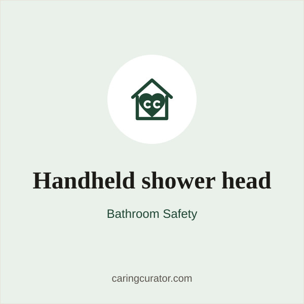 Handheld shower head